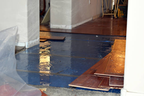 Professional Burst Pipe Cleanup technician working in Clio, AL